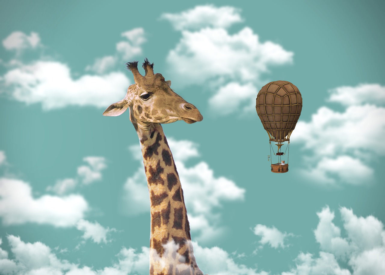 giraffe, hot air balloon, imagination-5673825.jpg